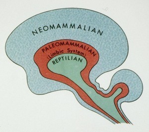 Your brain has 3 layers, its your job to master them.