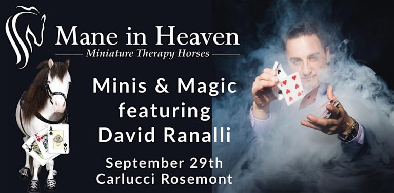 Mane in Heaven Minis & Magic featuring David Ranalli