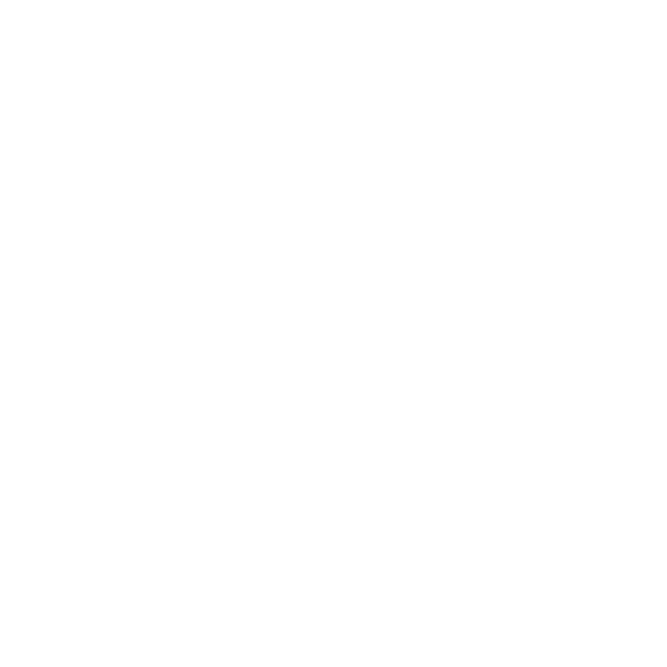 Indianapolis Magician David Ranalli
